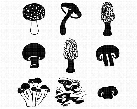 Mushrooms Svg Morel Mushroom Svg Clipart Mushroom Svg Png Etsy Mushroom Drawing Stuffed