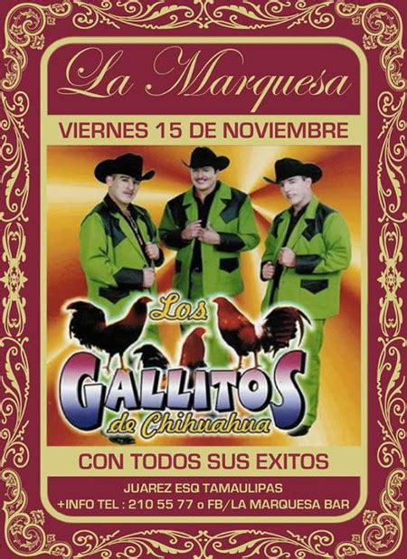Los Gallitos De Chihuahua La Marquesa Bar Y Cantina