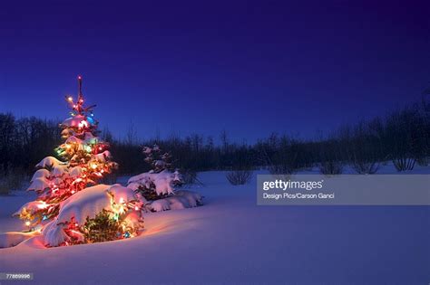 Christmas Tree Outdoors Glowing At Night Covered In Snow