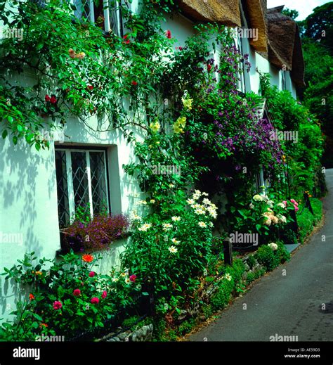 Roses Around The Door Hi Res Stock Photography And Images Alamy