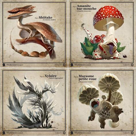 Artist Uses Mushroom To Create Amazing Dragons Rshrooms