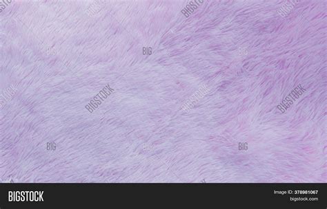 Delicate Soft Image And Photo Free Trial Bigstock