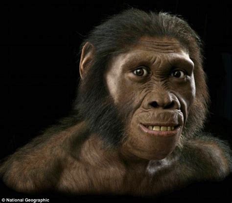 Revealed The Face Of The Missing Link Between Ape And Man Daily