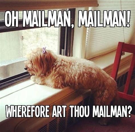 61 Best Mailman Humor Images On Pinterest Post Office Going Postal