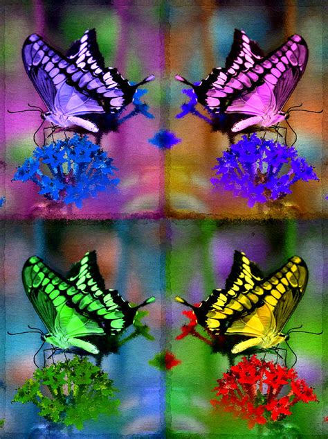 Fou Radiant Monarch Butterflies Painting By Bruce Nutting Fine Art