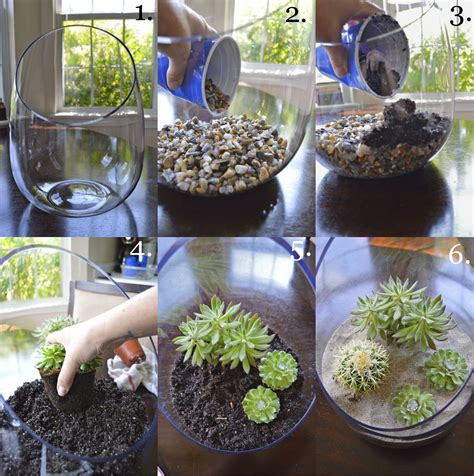 Comment faire un terrarium ? Succulents Terrarium | Succulentes, Comment faire un terrarium