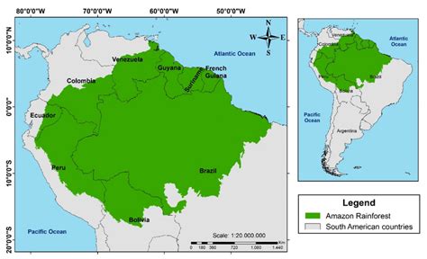 Amazon Rainforest Ks2 Mapping Out Worksheet Teacher Made Ph
