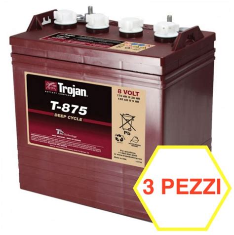 Trojan 3 Pezzi Batteria Trojan T 875 170a 8v T875 Kit 24v Piombo