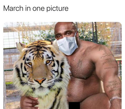 Tiger King Meme Tiger King Memes The Funniest Online Reactions