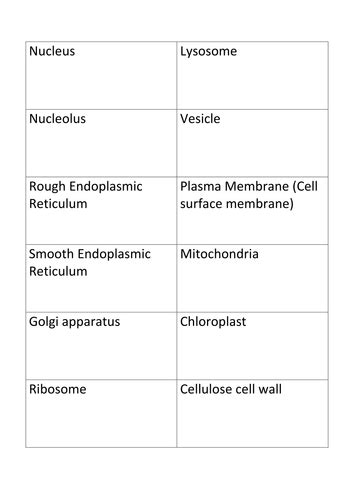 Cell Organelle Flash Cards Teaching Resources