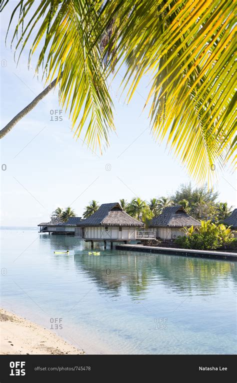 View Of Overwater Bungalows From Sandy Beach With Palm Tree On Tropical