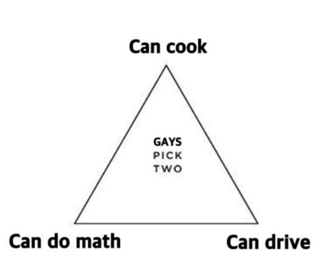 A Triangle With Words That Say Can Cook Gays Pick Two And Can Drive