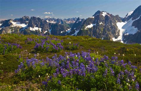 Sahale Glacier Camp North Cascades National Park North Western