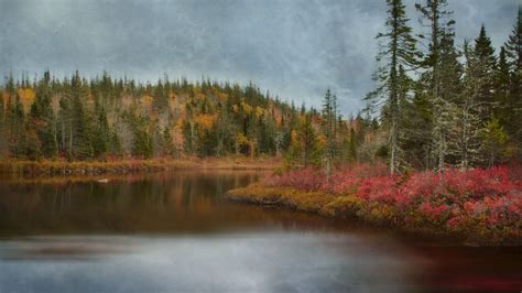 Download Wallpaper 3840x2160 Lake Forest Trees Autumn Landscape 4k