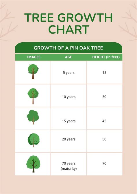 Growth Chart Ruler in PDF, Illustrator - Download | Template.net