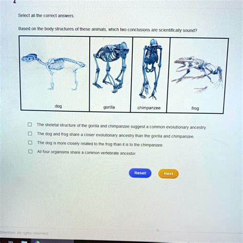 Solved Based On The Body Structures Of These Animals Which Two