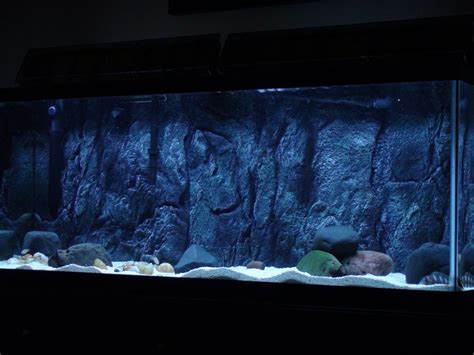Background đẹp Và Sống động 3d Aquarium 3d Background Cho Cây Thủy Sinh