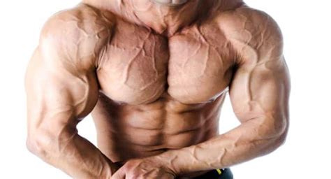 Why Do Veins Pop Out When Exercising Do Visible Veins Indicate A Fit