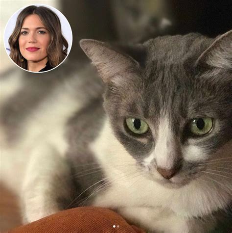 Mandy Moore Needs Fans Help After Brother S Cat Goes Missing