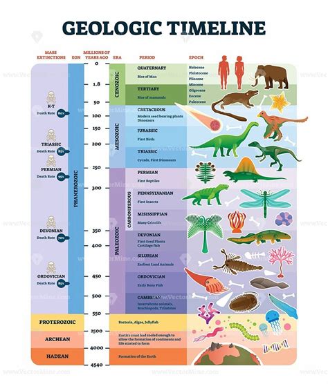 Geologic Time Scale Summary Worksheet Chart Illustrated Vector Poster