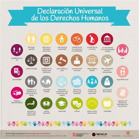 Infografia Sobre Los Trenta Artículos De La Declaración Universal De