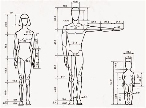 13 1531×1128 Human Anatomy Drawing Anatomy For Artists