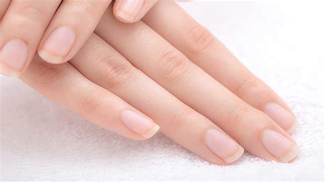 How To Keep Your Nails Healthy Nutrition Line