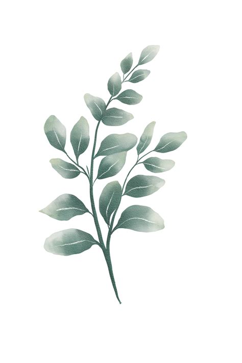 Green Watercolor Leaves 11660313 Png