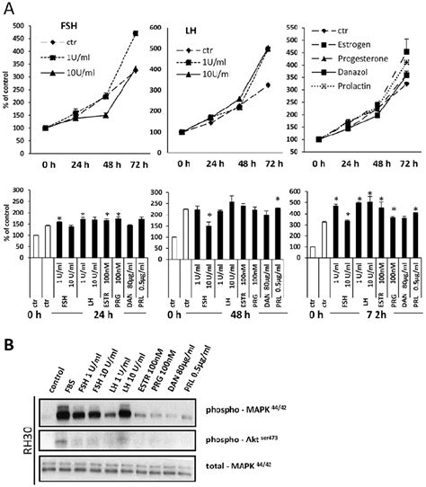 Sex Hormones Increase Proliferation And Induce Signal Transduction In Download Scientific
