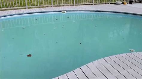 Making A Green Swimming Pool Blue Again Youtube