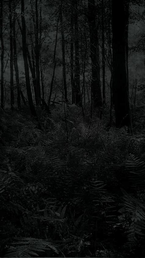 Dark Forest Hd Mobile Wallpapers Wallpaper Cave