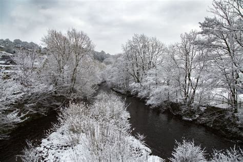 Winter Landscape Free Stock Photo Public Domain Pictures