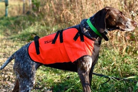 3 Best Hunting Dog Vests Must Read Reviews For January 2024