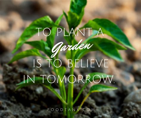 To Plant A Garden Is To Believe In Tomorrow Nature Quotes Garden