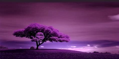 Premium Ai Image Purple Tree Wallpapers For Iphone Purple Wallpaper