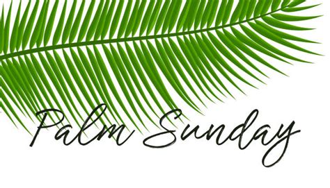 Free Religious Palm Sunday Clip Art 10 Free Cliparts Download Images