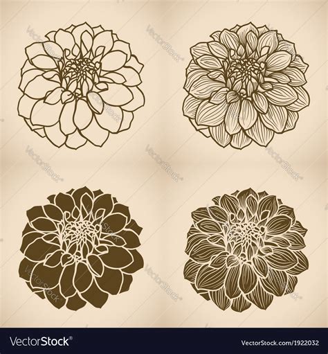 Flower Dahlia V2 03 Four Var Royalty Free Vector Image