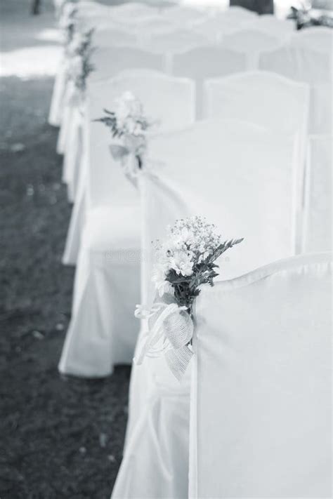 Outdoor Garden Civil Wedding Seating Stock Photo Image Of Grass