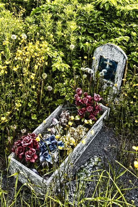 Small Peaceful Cemetery In Newfoundland Canada Unusual Headstones