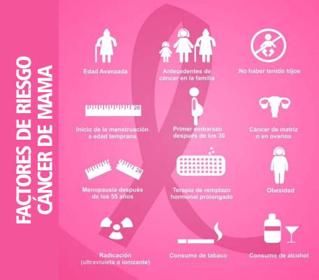 Factores De Riesgo Cancer De Mama