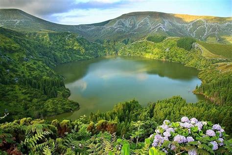 Island Of Flores Azores Portugal Elveția