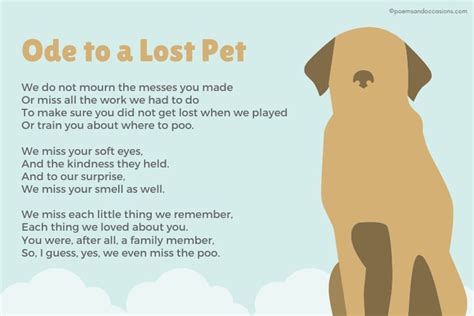 15 Pet Memorial Poems Pet Poems Pet Loss Poem Dog Poems