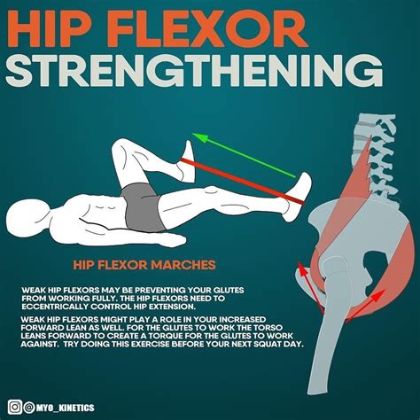 𝐇𝐈𝐏 𝐅𝐋𝐄𝐗𝐎𝐑 𝐒𝐓𝐑𝐄𝐍𝐆𝐓𝐇𝐄𝐍𝐈𝐍𝐆 Strengthen Hips Hip Flexor Exercises Strengthen Hip Flexors
