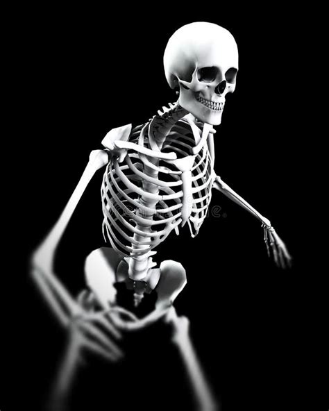 Bone Pose 7 Stock Illustration Illustration Of Human Frighten 612106