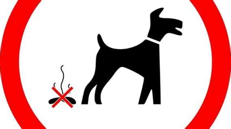 Owners Of Dogs Caught Fouling Can Still Be Prosecuted By Council
