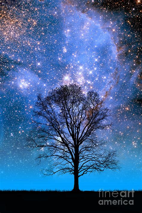 Tree And Small Magellanic Cloud Photograph By Larry Landolfi Pixels