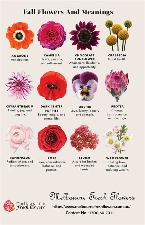 Flower Names And Their Meanings