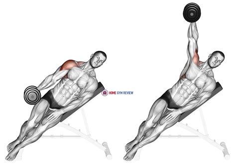 Dumbbell Incline One Arm Lateral Raise Home Gym Review