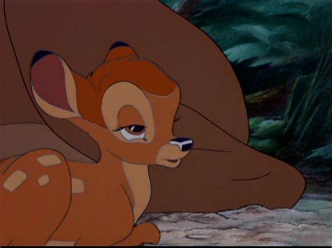 Bambi Bambi Image 5769774 Fanpop