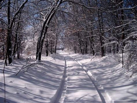 Snowy Woods In Oklahoma Photorator